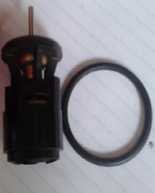 TERMOSTATO          GOL 1000 95/99 GO