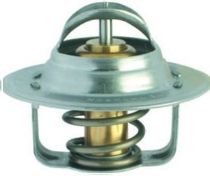 TERMOSTATO TRANSPORTER 2.0