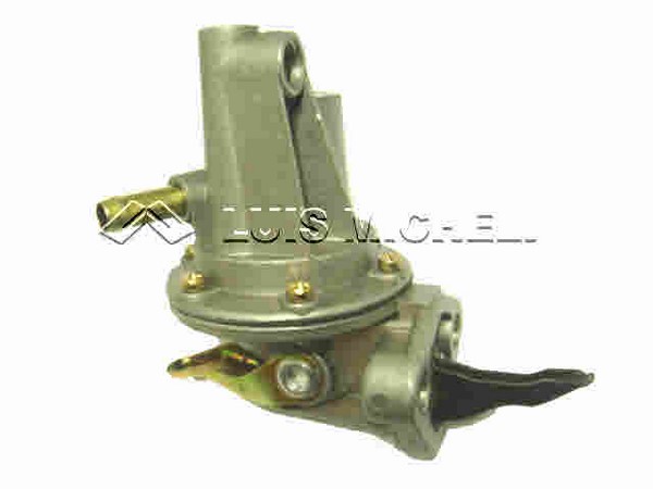 F100 92/96-F1000-F4000 CON MOTOR MWM 229