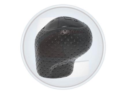 PERILLA PAL/CAMBIO R-21 M/V