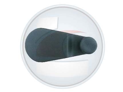 MANIJA L/C S/EUROPA/REGATTA GRIS