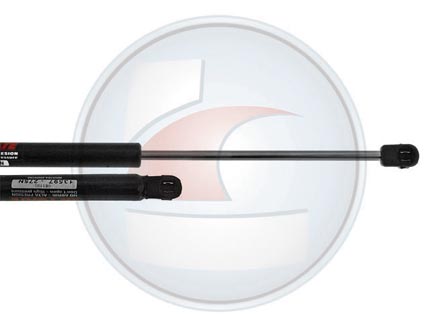 AMORTIG.PORTON GOL 96/05/POINTER