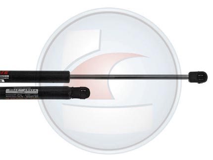 AMORTIG.PORTON PALIO 96/03 3/5PTAS.