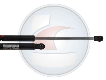 AMORTIG.CAPOT S-10 04->