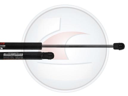 AMORTIG.BAUL MEGANE 10->3/5 PTAS.