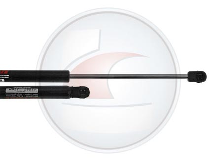 AMORTIG.CAPOT MEGANE 10->3/5 PTAS.