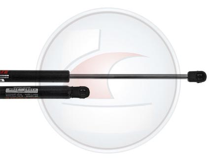 AMORTIG.PORTON DUSTER