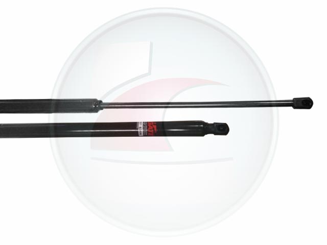 AMORTIG.PORTON C4 PICASSO 10->