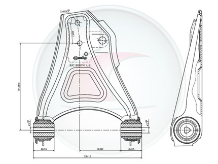 PAR.SUSP.CLIO 00->/KANGOO C/BUJE P/