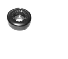 CRAPODINA CAZOLETA POLO