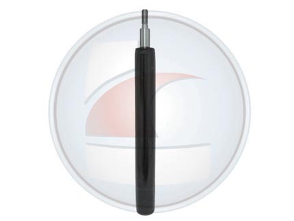 AMORTIG.QUANTUM/SANTANA GAS.DEL.