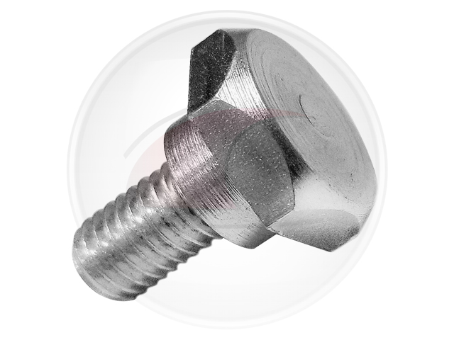 TORNILLO RIENDA PORTON SAVEIRO (TOD