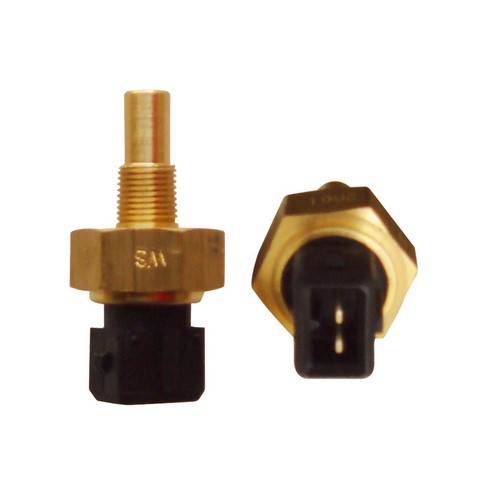 ESCORT-FIESTA-FOCUS-MONDEO-ORION MOTORES ZETEC (AIS.NEGRO)