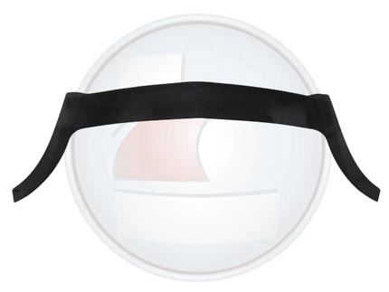 DEFLECTOR CAPOT.KANGOO 08/12