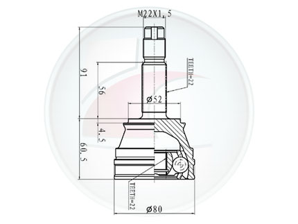 JUNTA HOMOC.PALIO/SIENA/WEEK.->00 1