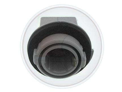 PORTALAM.RODEO 2 POLOS TRAS.