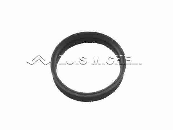 ESCORT-ORION Ã¢â¬Â¢ POINTER