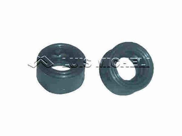 COURRIER 02/-FOCUS (TODOS) BLISTER X 2 UNIDADES