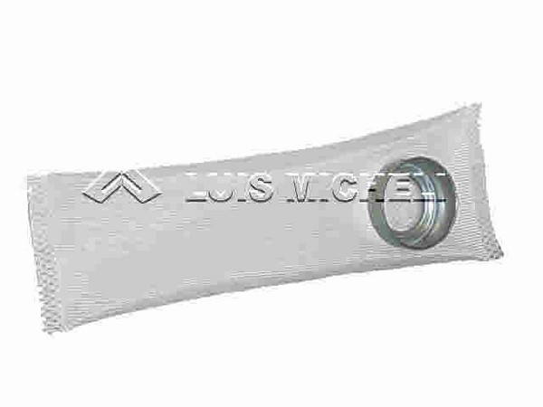 BLAZER-S10 95/98 S.ROCHESTER