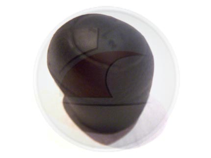 PERILLA PAL/CAMBIO PALIO 01->FIRE