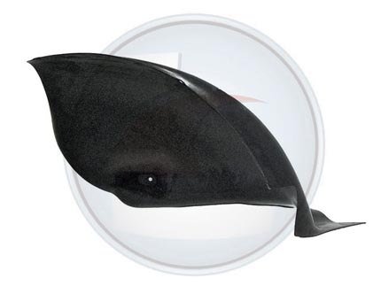 GUARDAPLAST PALIO 96/00 T.I.