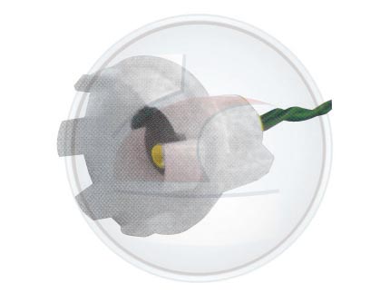 PORTALAM.T/ARAÃA 1 POLO C/MAZA