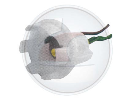 PORTALAM.T/ARAÃA 2 POLO C/MAZA