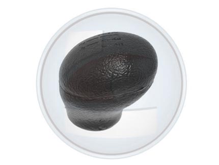 PERILLA PAL/CAMBIO MEGANE->05/CLIO