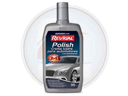 POLISH 2 EN 1 300 CM3