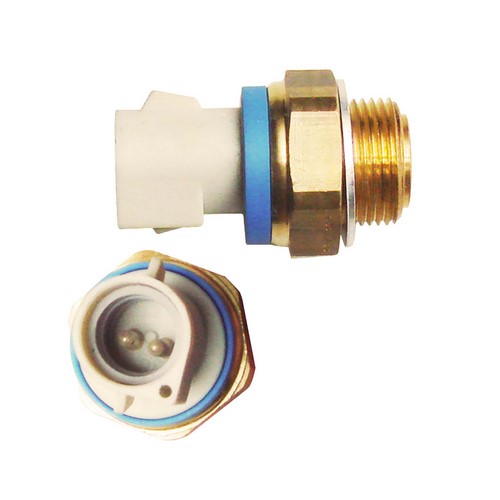 ESCORT 1.8D-TD (110C-105C)