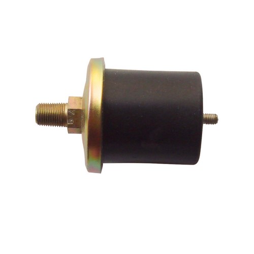 F100 MOTORES CUMMINS