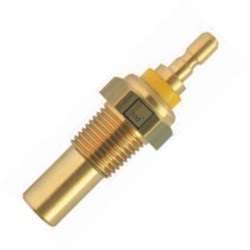 BULBO TEMPERATURA   RANGER Aisl.amar.