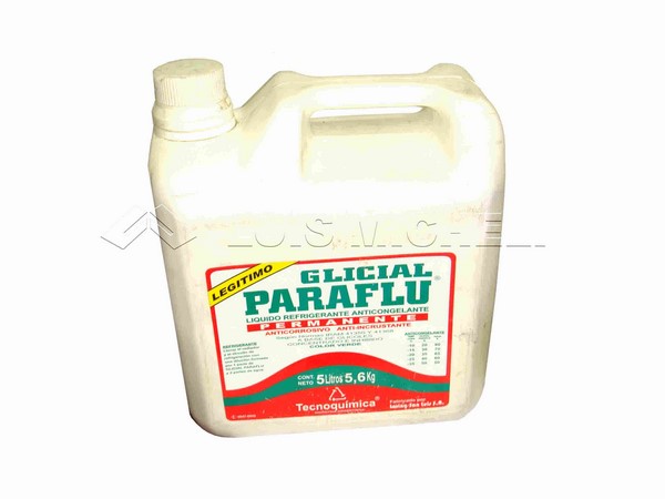 PALIO-SIENA 01/ (TODOS)