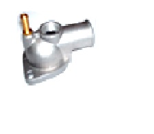 GARGANTA DE AGUA FIESTA ESPAÃOL