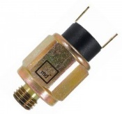 INTERRUPTOR STOP    CARGO Todos