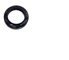 CRAPODINA CAZOLETA DEL FOCUS 99/--