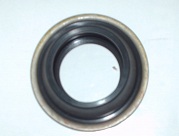 RETEN TRASERO       RANGER/F100 Cja.M