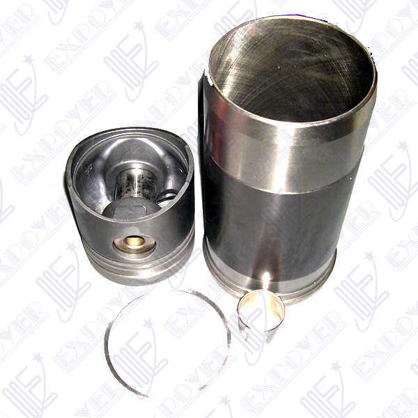 CONJUNTO MOTOR  (1 cil)     MWM TD229  TURBO    **