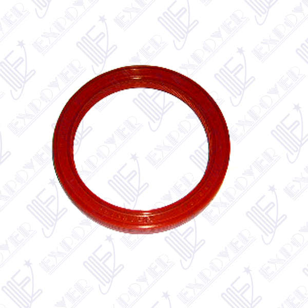 RETEN DISTRIBUCION LADO CIGUENAL   MOTOR MAXION