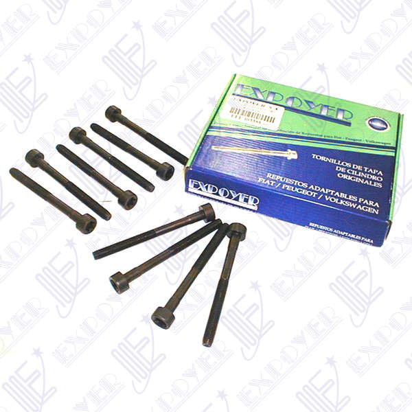 JUEGO BULONES X10 T/CILINDROSDSL 1.8 /TD