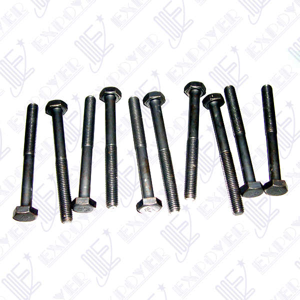 JUEGO BULONES X10 TAPA CILINDROS ESCORT CHT