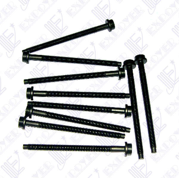 JUEGO BULONES X10 TAPA CILINDROS    ZETEC 16V 1.4