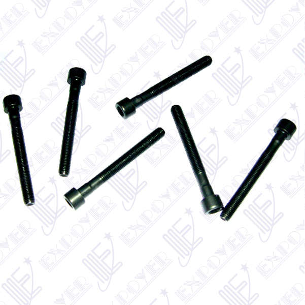 JUEGO BULONES X10 TAPA CILINDROS 98MESCORT/GALAXY