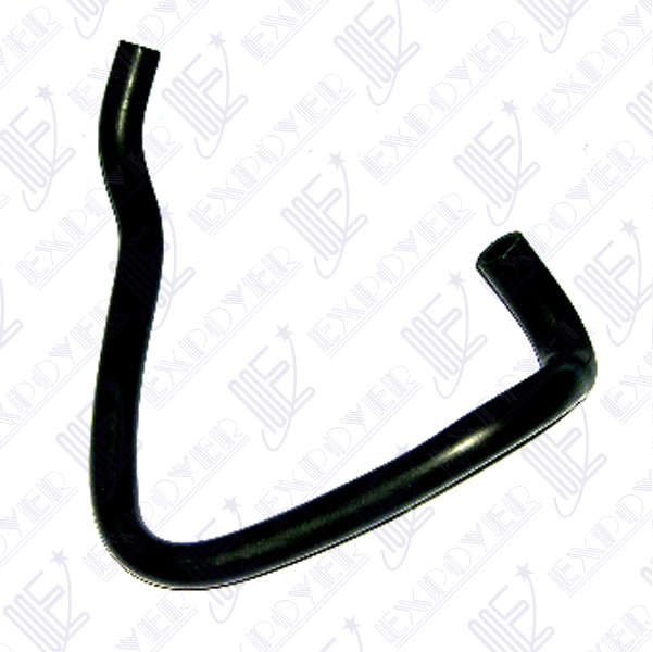 CAÃO DESCARGA GASES         -4089- FOCUS