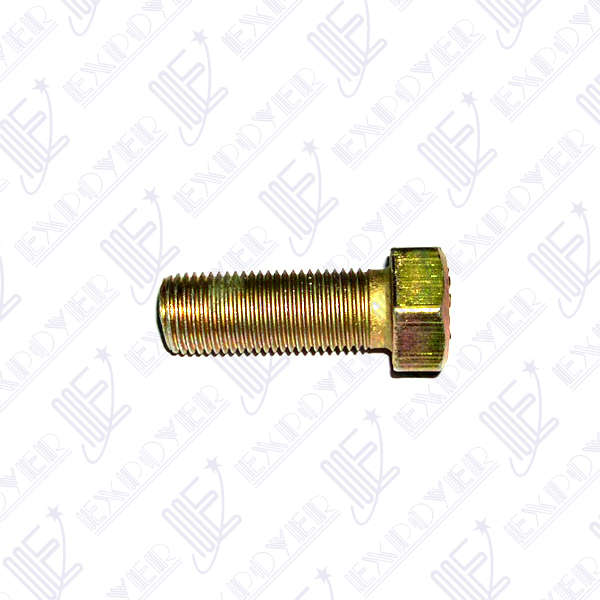 BULON POLEA CIGUENAL  6CIL         F-100/FALCON