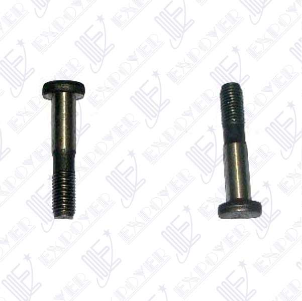 BULON BIELA   MOTOR CHT            ESCORT