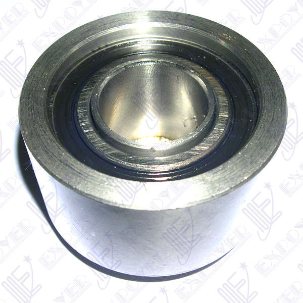 POLEA TENSOR DIST. FIJO (C/SKF)    MOTOR MAXION