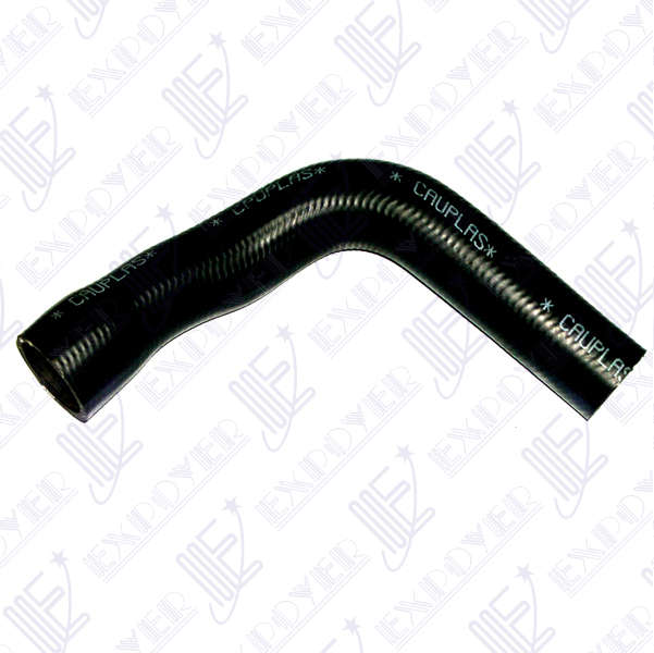 CAÃO INF RADIADOR           -4177- TAUNUS