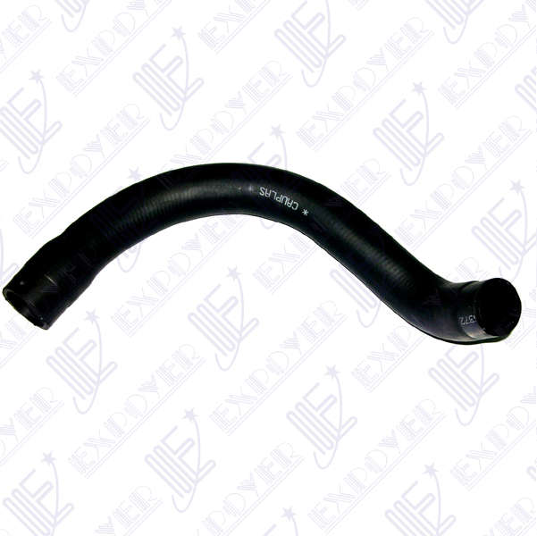 CAÃO INF RADIADOR           -4191- FALCON