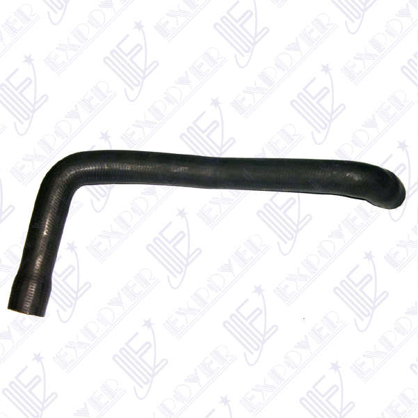 CAÃO INF RADIADOR (PERKINS) -4140- F-100 81/